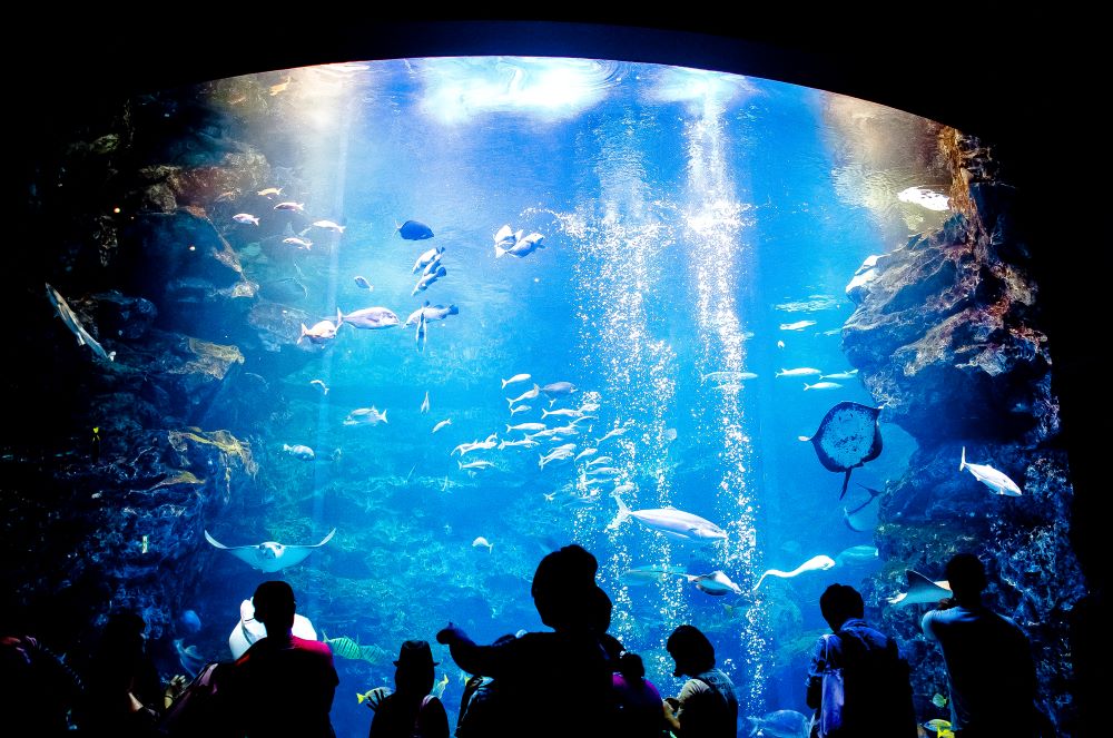 京都水族館