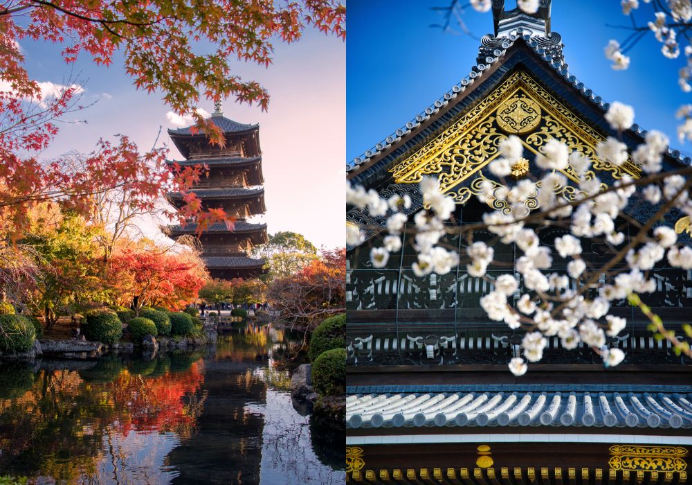 東本願寺　桜と紅葉