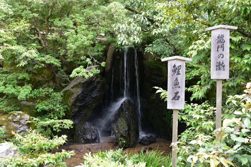 金閣寺「龍門滝」と「鯉魚石」