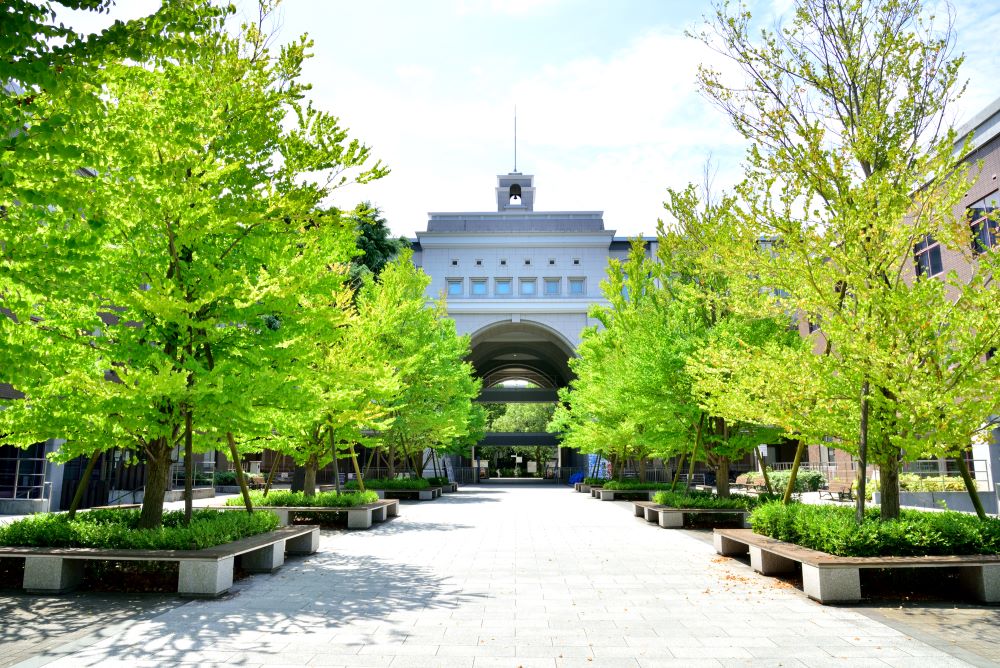 京都大学