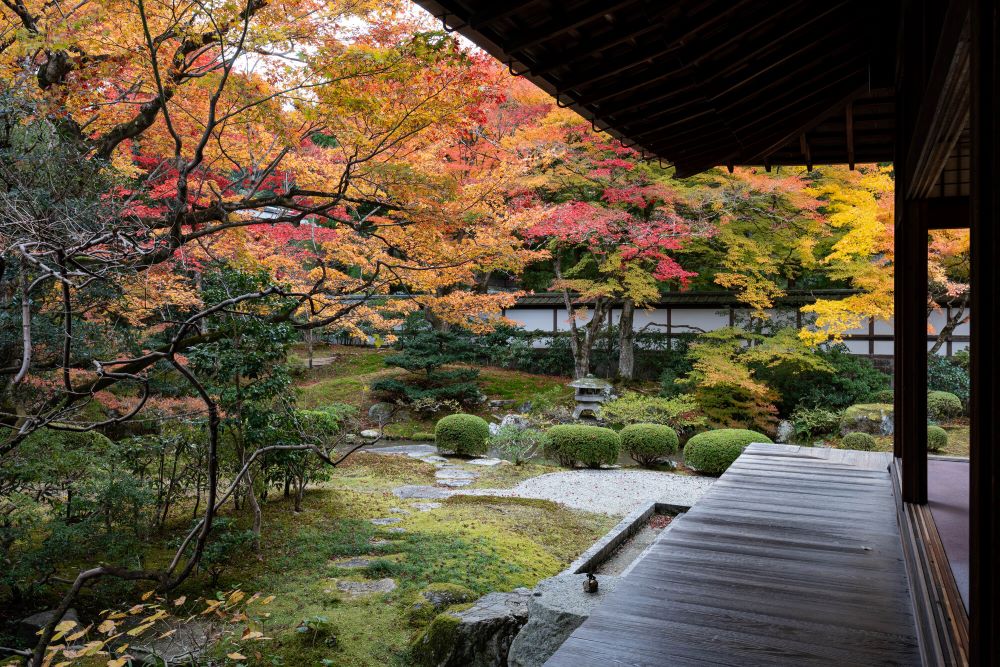 泉涌寺