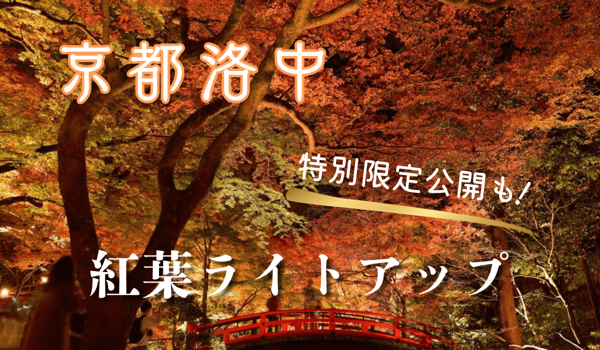 京都洛中　紅葉ライトアップ