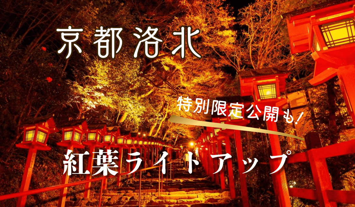 京都洛北紅葉ライトアップ